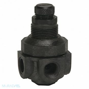 WATTS Pressure Regulator 1/4 In 0 to 125 psi, 1DMK5