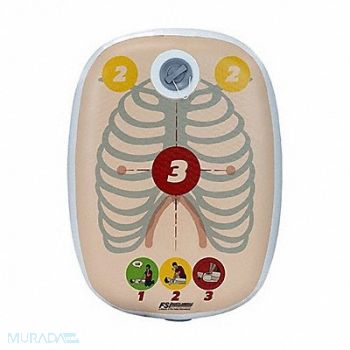 FSI CPR Training Aid, 808Z27