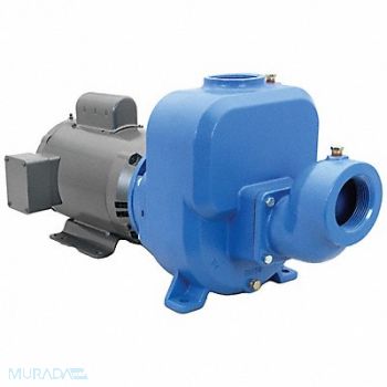 GOULDS WATER TECHNOLOGY Self Priming Pump 3 HP Cast Iron, 429J01