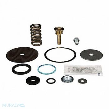 ZURN WILKINS Repair Kit Reduce Valve 1 In, 45K836