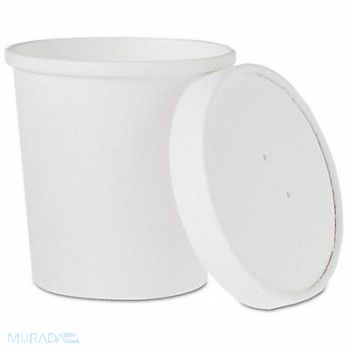 DART Disp Carry-Out Ctnr 16 oz WH PK250, 799LT9