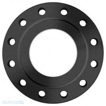 GRAINGER APPROVED Flange Steel Socket Weld 8 Pipe Size, 60VM32