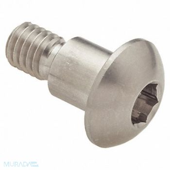 GRAINGER APPROVED Architect Bolt 18-8SS 3/8 -16 1/2 L, 20X964