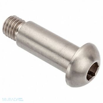 GRAINGER APPROVED Architect Bolt 18-8SS 1/2 -13 1/2 L, 20X969