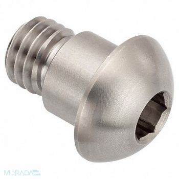 GRAINGER APPROVED Architect Bolt 18-8SS 5/8 -11 1/2 L, 20X970