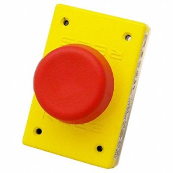 REES Plastic Plunger Red 2-1/4, 284G88
