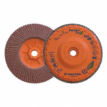 WALTER SURFACE TECHNOLOGIES Flap Disc Coated 5 dia 12 200 RPM, 804CG2