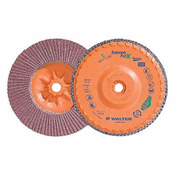 WALTER SURFACE TECHNOLOGIES Flap Disc Coated 6 dia 10 200 RPM, 804CG9