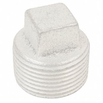 APPLETON ELECTRIC Conduit Plug SS, 10C678
