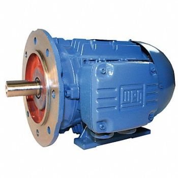 WEG Metric Motor 50 HP 3 570 RPM 460V 200L, 10G904