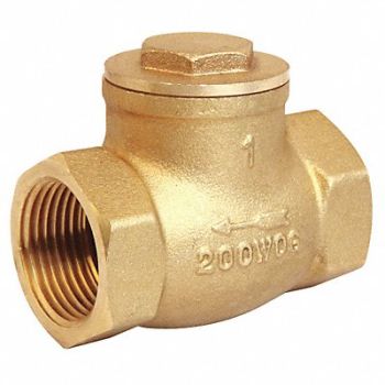 GRAINGER APPROVED Swing Check Valve Brass 2 FNPT, 10F327