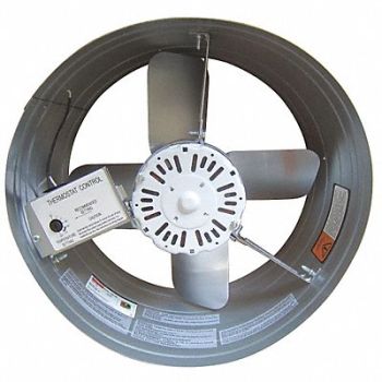 DAYTON Steel 8 H 15 W Exhst Fan, 10W194