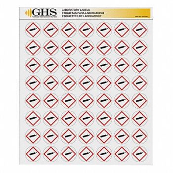 GHS SAFETY Label Gloss Paper Gas Cylinder PK1120, 10X339