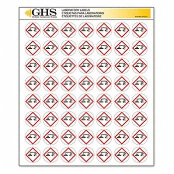 GHS SAFETY Label Gloss Paper Corrosion PK1120, 10X341