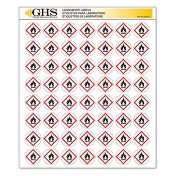 GHS SAFETY Label Gloss Paper Flame PK1120, 10X342