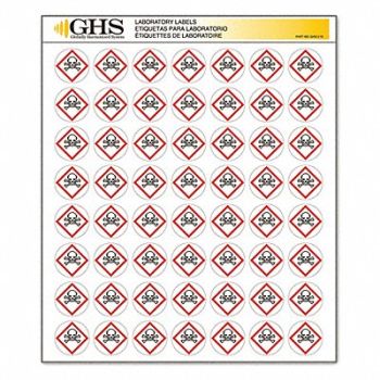 GHS SAFETY Label Gloss Skull and Crossbones PK1120, 10X345