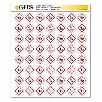 GHS SAFETY Label Gloss Paper Environment PK1120, 10X346