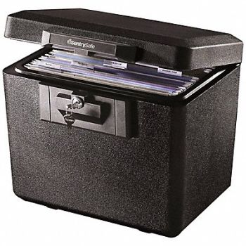 SENTRY SAFE Safe 0.6 cu ft Black, 29RV60