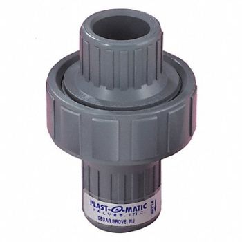 PLAST-O-MATIC Disc Check Valve Polypropylene 1, 11D191