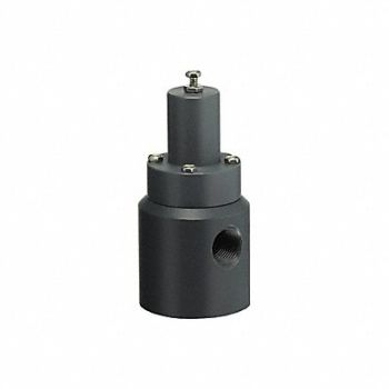 PLAST-O-MATIC Pressure Relief Valve 1/2In 5 to 100 psi, 11G101