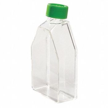 LAB SAFETY SUPPLY Tissue Culture Flask 250mL Polysty PK25, 11L813