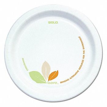 GRAINGER APPROVED Disposable Paper Plate 6 in White PK500, 12N427