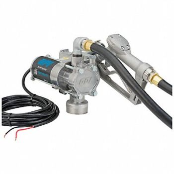 GPI Fuel Transfer Pump HP 1/10 12VDC, 56FK26