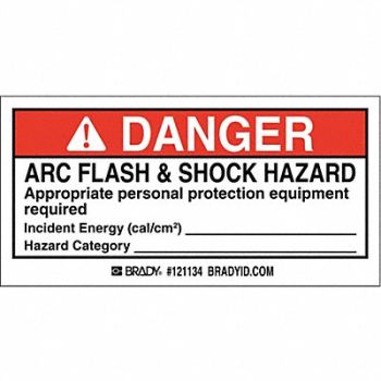 BRADY Permanent Adhesive Label 2 inx4 in PK100, 13K859