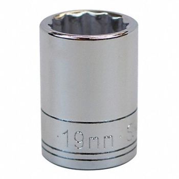 SK PROFESSIONAL TOOLS Socket Steel Chrome 19 mm, 13N746