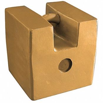 RICE LAKE WEIGHING SYSTEMS Weight Grip Hndle 100kg Cast Iron ClassF, 15F120