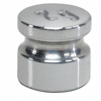 RICE LAKE WEIGHING SYSTEMS Weight Cylinder 2g SS Class F, 15F130
