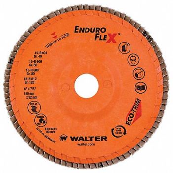 WALTER SURFACE TECHNOLOGIES Flap Disc Coated 6 dia 10 200 RPM, 804CF7