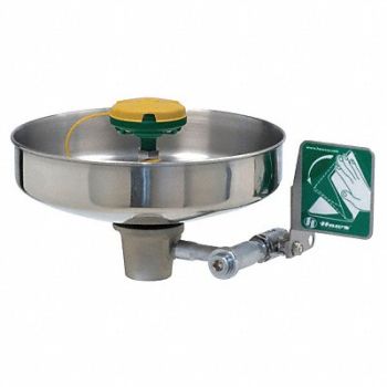 HAWS Eye/Face Wash Unmounted SS, 16D371