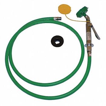 HAWS Drench Hose Eye/Face Wash Deck Mount, 16D384