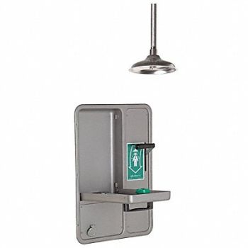 HAWS Showerw/ Eye/Face Wash Lab Combination, 16D410