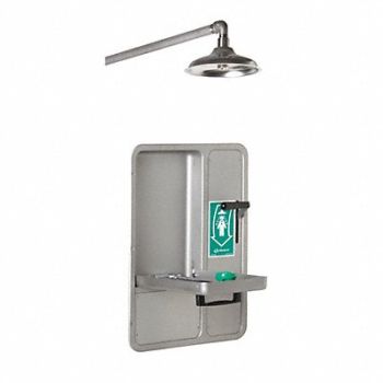 HAWS Shower/Eye Face Wash Lab Combination, 16D412