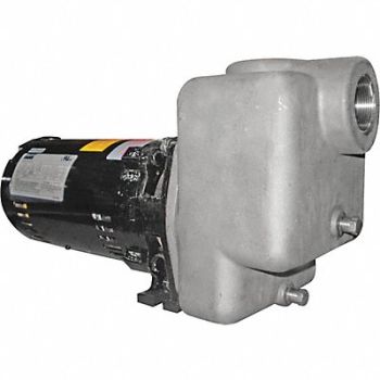 DAYTON Self Priming Pump 3/4 HP 316 SS, 5GUP1