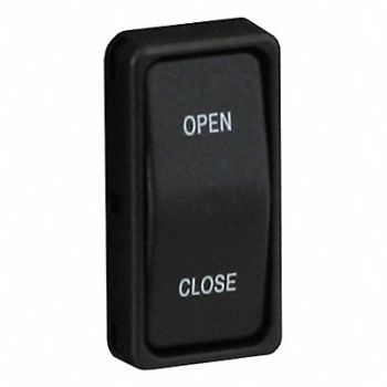BUYERS PRODUCTS Rocker Switch 12 Volt Use With 19A799, 19A798