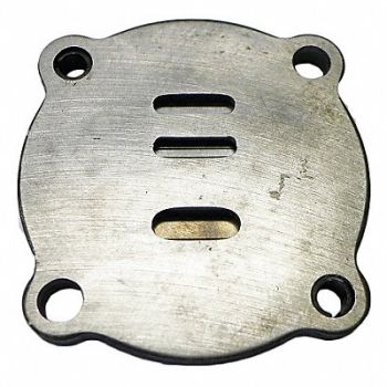 SPEEDAIRE In and Ex Valve Assembly, 19NA72