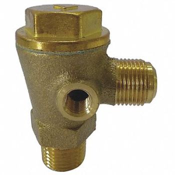 SPEEDAIRE Check Valve, 19NC41