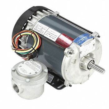 MARATHON MOTORS Motor 1/3 HP 1725 rpm 56 115/208-230V, 19RW60