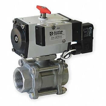 DYNAQUIP CONTROLS Ball Valve 3 In NPT Spring Return SS, 1AWR9