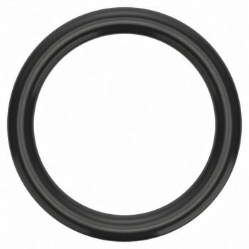 GRAINGER APPROVED O-Ring Dash 116 Viton 0.1 in PK50, 1BYJ6