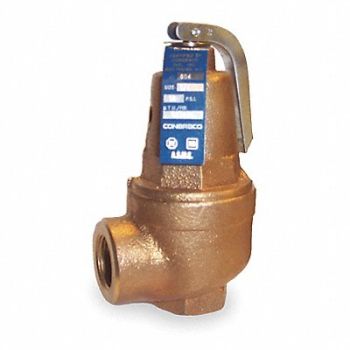 APOLLO Safety Relief Valve 1-1/2 In 100 psi, 1CKX2