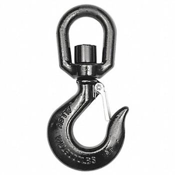 DAYTON Slip Hook Alloy Steel G80 6000 lb., 1DNH9