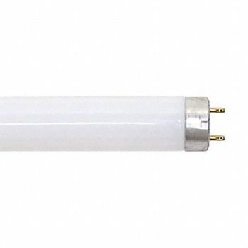 CURRENT Linear FLUOR Bulb T8 27-3/4 L G13 4100K, 1F338