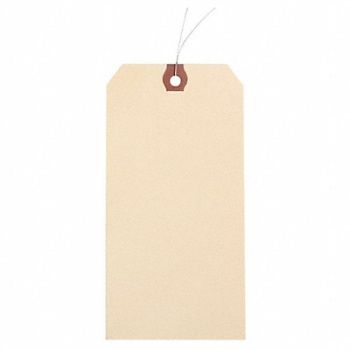 GRAINGER APPROVED Blank Shipping Tag Paper Manila PK1000, 1GYR2