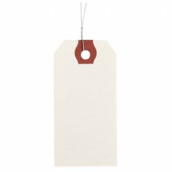 GRAINGER APPROVED Blank Shipping Tag Paper Colored PK1000, 4WKY4