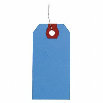 GRAINGER APPROVED Blank Shipping Tag Paper Colored PK1000, 4WKY8