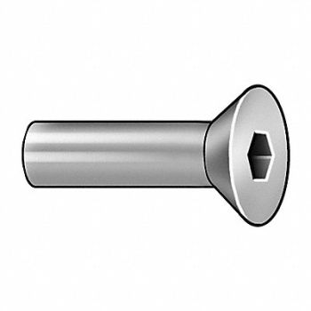 GRAINGER APPROVED Architect Bolt 3/4 L 18-8SS 1/4 -20, 1JYL6